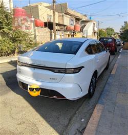 بی وای دی دیسترۆیەر 05